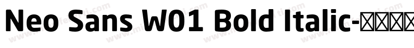 Neo Sans W01 Bold Italic字体转换